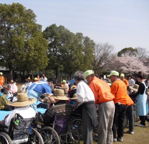 お花見の写真