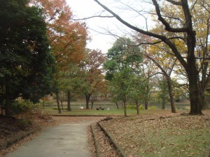 草加公園の紅葉の写真